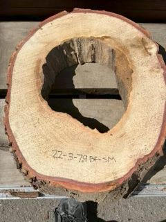 Spalted Maple